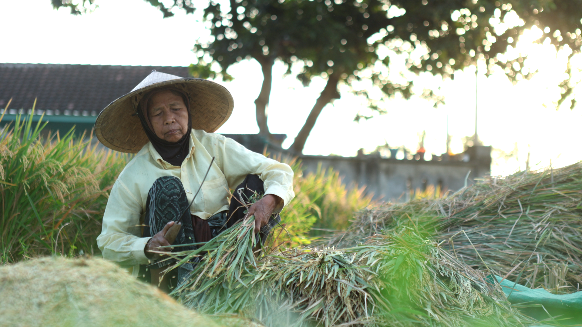 NTB Lestari Berkelanjutan